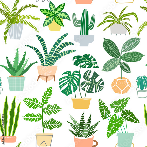 House plants in pots vector seamless pattern. Houseplant background