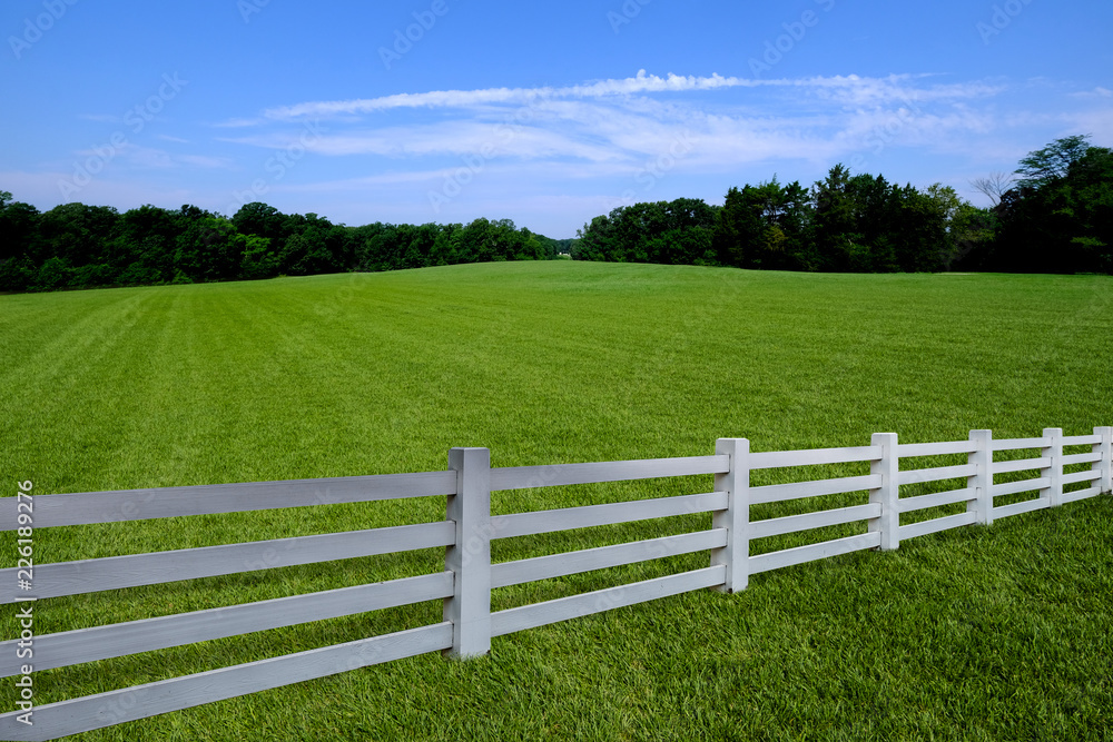 Green grass and blue sky with white clouds Green grass and blue sky with white clouds