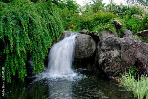 waterfall in garden,summer
