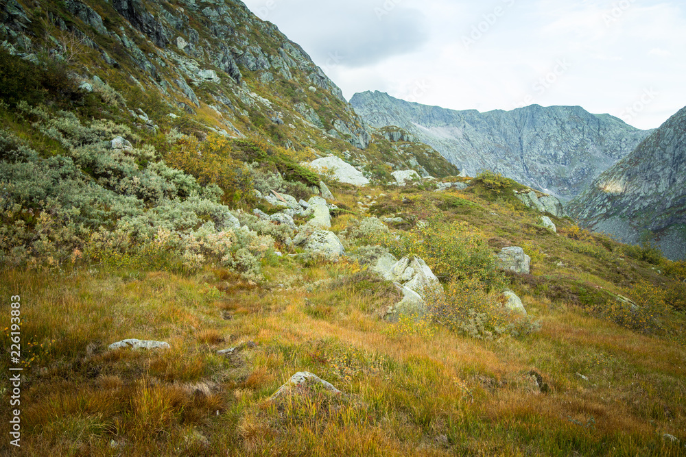 A beautiful autumn landscape in Folgefonna National Park in Norway during a hike in windy, rainy weather. Mountains in Scandinavia. Autumn scenery in wilderness.