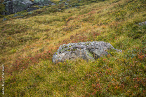 A beautiful autumn landscape in Folgefonna National Park in Norway during a hike in windy, rainy weather. Mountains in Scandinavia. Autumn scenery in wilderness.