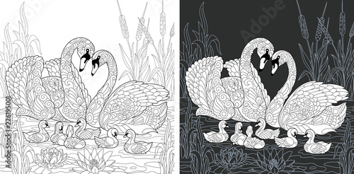 Swan family. Coloring Page. Coloring Book.