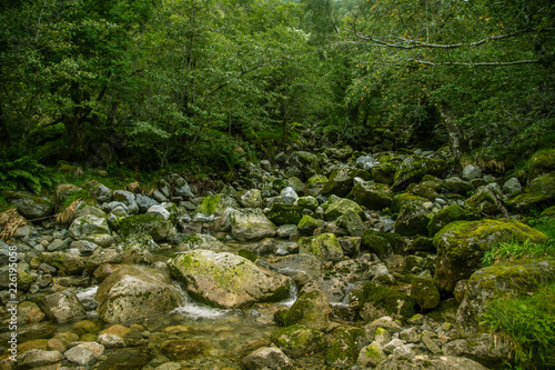 Wallpaper Mural A beautiful mountain river rapids in mountains of Folgefonna National park in Norway. Autumn landscape of a river rapids. Torontodigital.ca