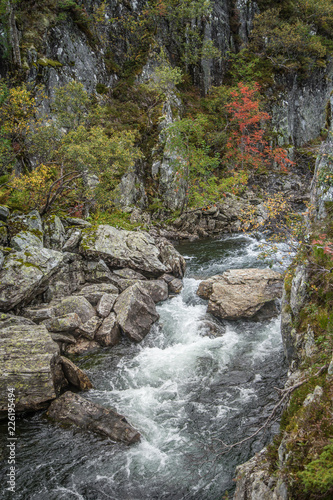 A beautiful mountain river rapids in mountains of Folgefonna National park in Norway. Autumn landscape of a river rapids.
