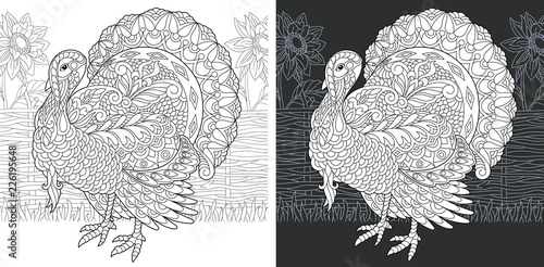 Turkey. Thanksgiving Day bird symbol. Coloring Page. Coloring Book.