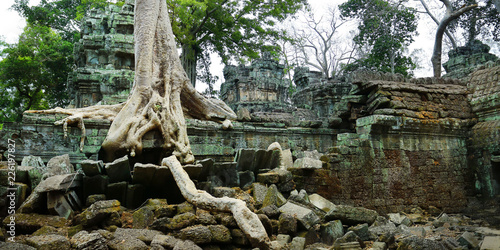 Trees and roots growing in the middle of wall and temple in Angkor wat ,archaeologic park ,Cambodia