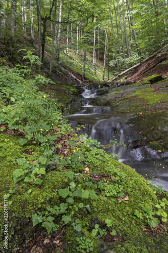 A picturesque mountain stream, along the haidouška song.