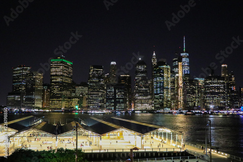 View of NYC Skyline from Brooklyn Promenade