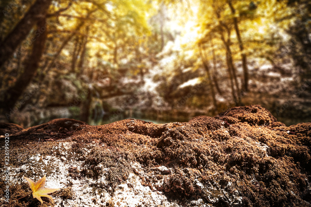 Autumn time background of free space for your decoration Autumn time background of free space for your decoration
