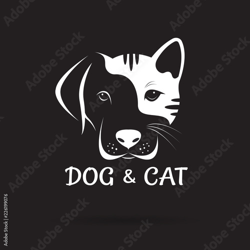 Photography Vector of dog and cat face design on a black background