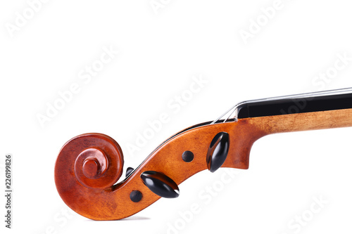 Violin head on white background