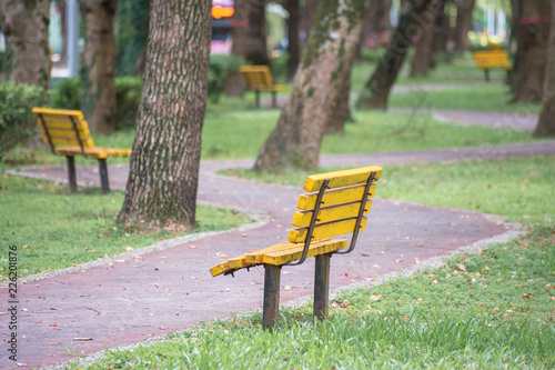 Park, a chair in the park, relaxing, Banyan trees on Dunhua Road, Taipei. feeling calm photo