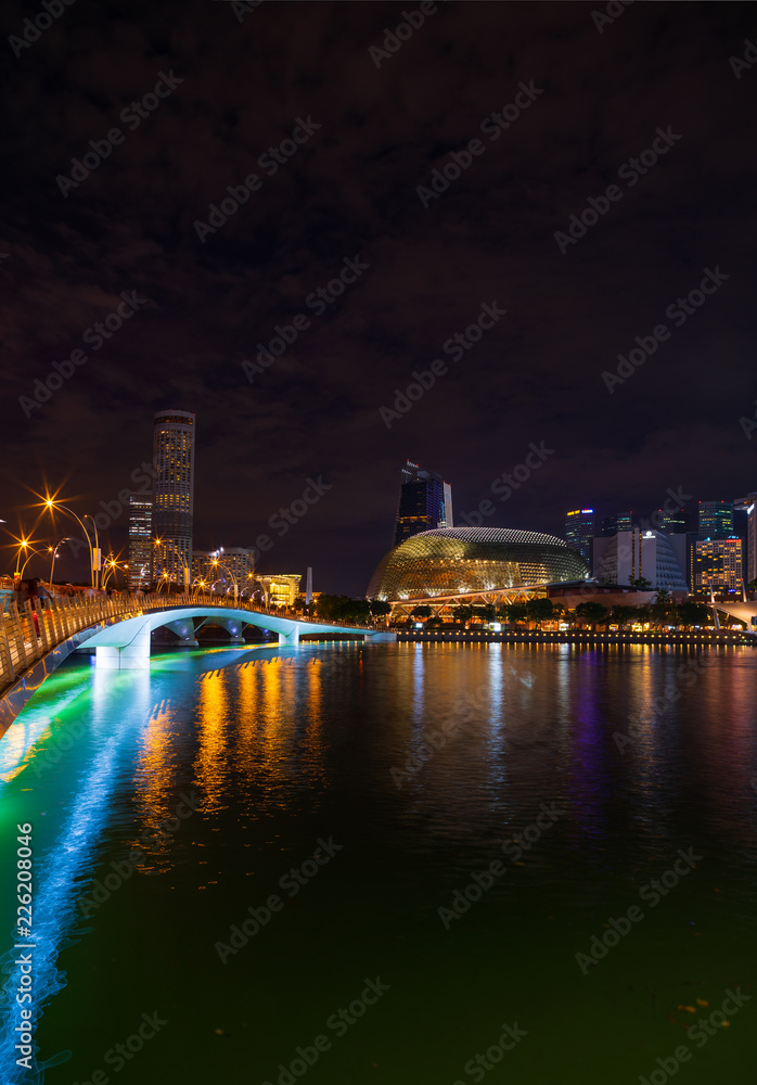 View at Singapore City Skyline at night