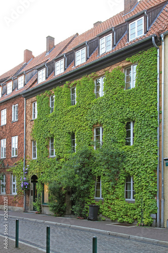Tableau sur toile Green Plants Facade House