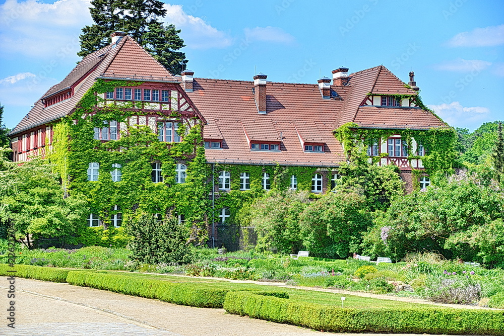 Steglitz, #8731 Steglitz, #8731