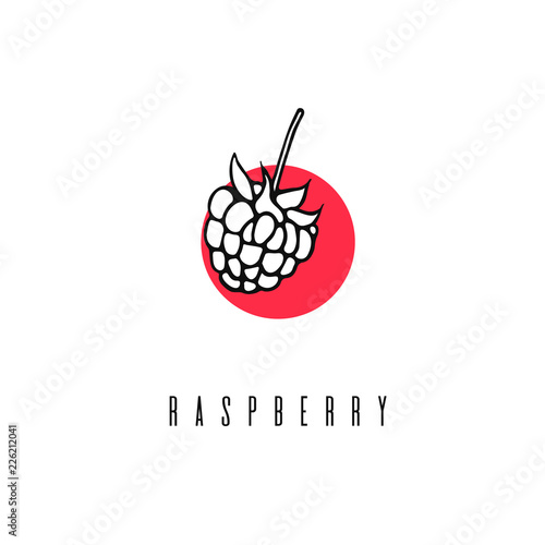 Raspberry. Hand drawn vector linear icon.