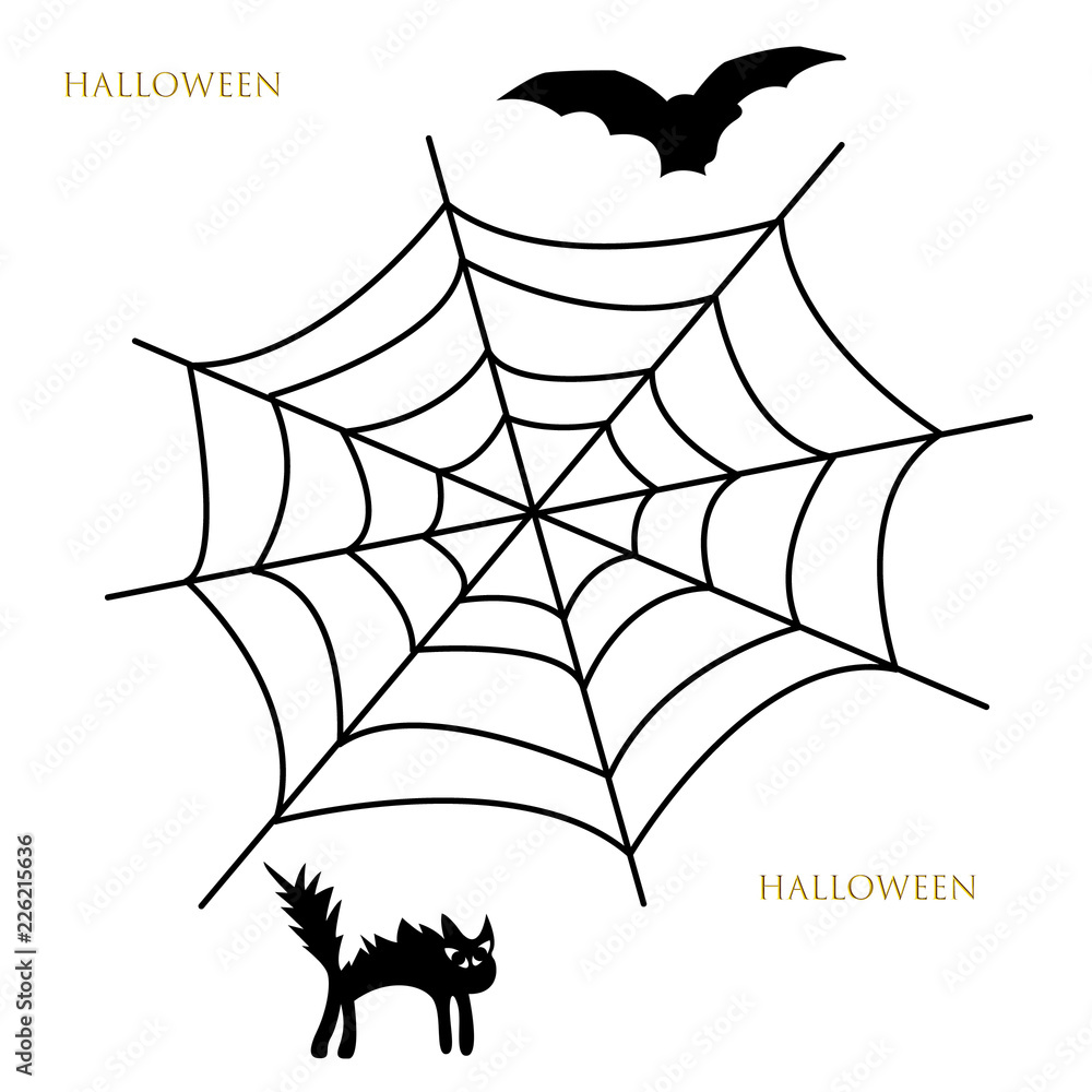 Fototapeta premium Halloween and spiderweb, cat, bat