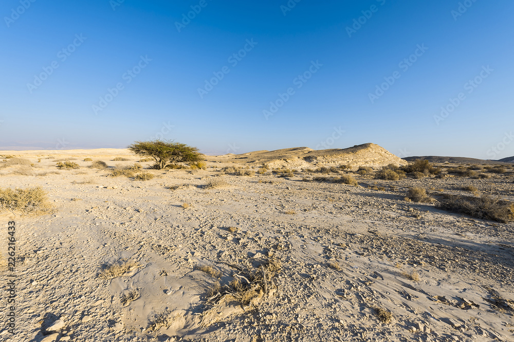 Desolate infinity in Israel