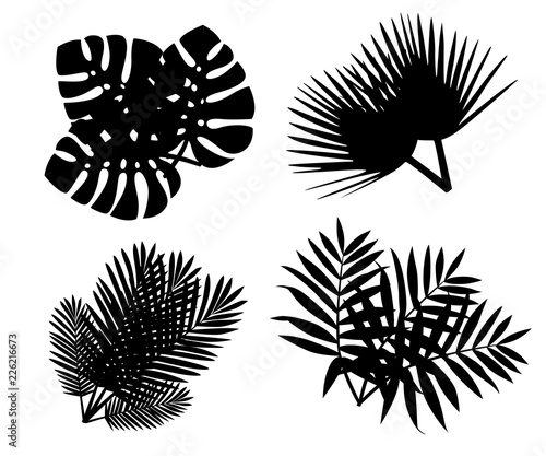 Black silhouette. Set of tropical leaves. Flat style palm leaf. Exotic plants icon. Vector illustration isolated on white background