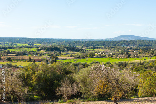 Wallpaper Mural Landscapes around Costitx, Mallorca, Spain Torontodigital.ca