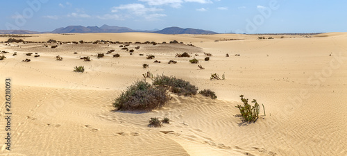 Corralejo Dunes with Volcanic Mountains in the Baclground in Fuerteventura  Canary Islands