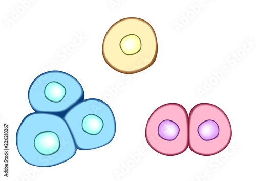 pink cell icon . skin cell . vector photo