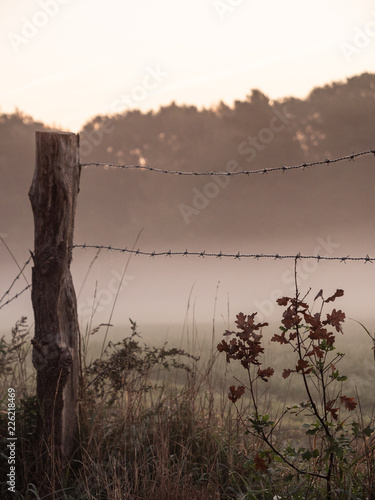 abendrot
