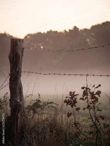 landschaft