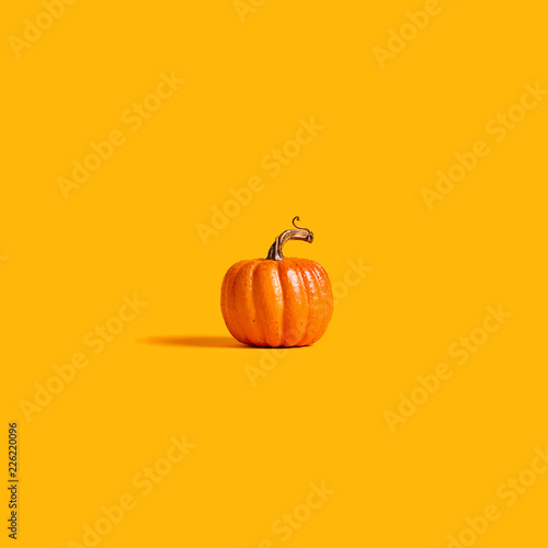 Fotografie, Obraz Autumn orange pumpkin on an orange background