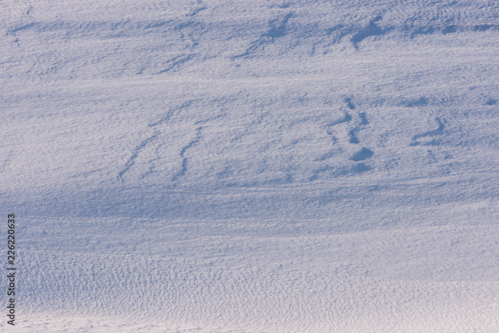 snow texture snow texture