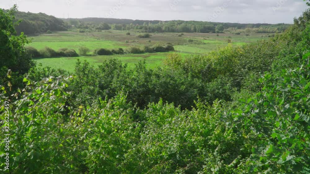 View over the forest and the meadows behind it View over the forest and the meadows behind it