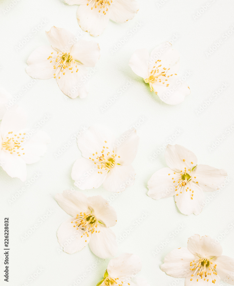 Beautiful spring blossom with white flowers .Top lay view Beautiful spring blossom with white flowers .Top lay view