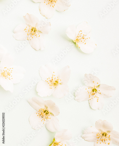 Beautiful spring blossom with white flowers .Top lay view 
