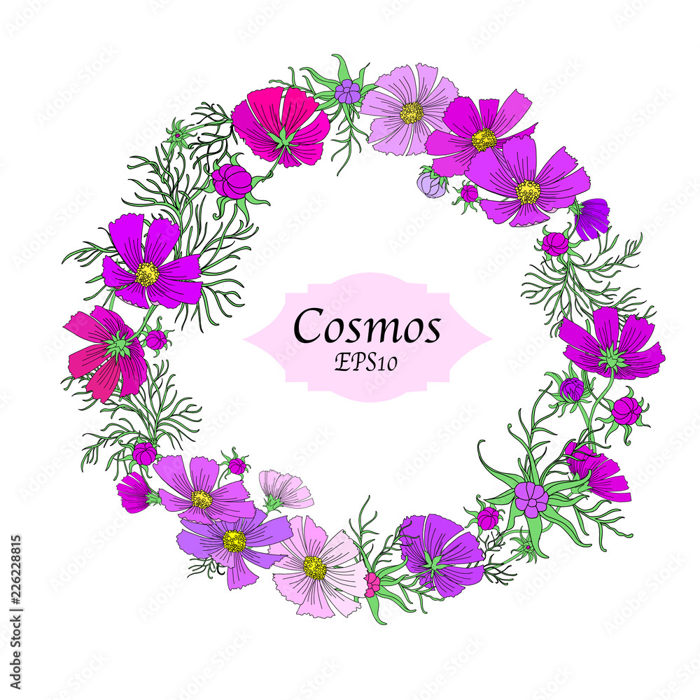 Cute Hand Drawn Cosmos Flower Wreath Isolated on White Background for Custom Pattern Designs and Illustrations for All Media, Web, Textile, Wallpaper. Beautiful Vector Cosmos Flower Design. Cute Hand Drawn Cosmos Flower Wreath Isolated on White Background for Custom Pattern Designs and Illustrations for All Media, Web, Textile, Wallpaper. Beautiful Vector Cosmos Flower Design.