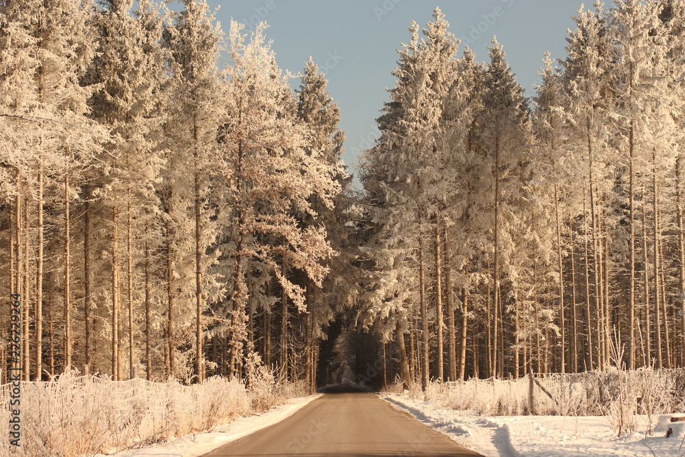 Obraz premium Winterwonderland