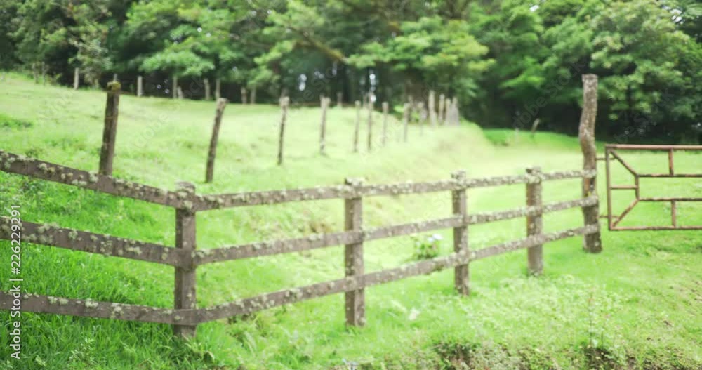 Out of focus background plate of a lichen covered wooden fence and metal gate in rural countryside with a green field of grass and trees. Blurry shot for compositng or keying. 4k Out of focus background plate of a lichen covered wooden fence and metal gate in rural countryside with a green field of grass and trees. Blurry shot for compositng or keying. 4k
