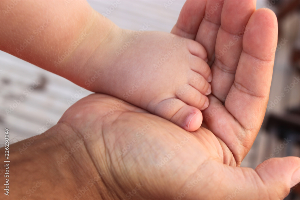 Childs Feet Into The Fathers Hand Fathers Day Small Baby Feet In The childs-feet-into-the-fathers-hand-fathers-day-small-baby-feet-in-the