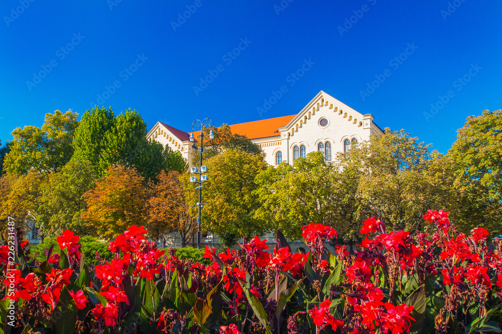 Colorful Zagreb, flowers on and old University building in the background