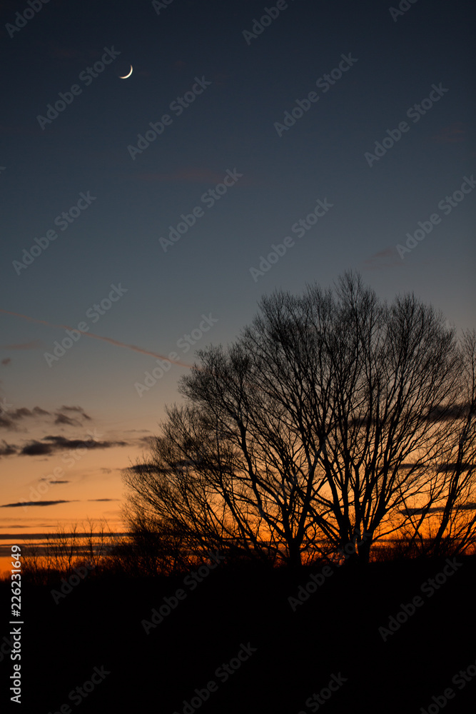 Fototapeta premium Sunset sky