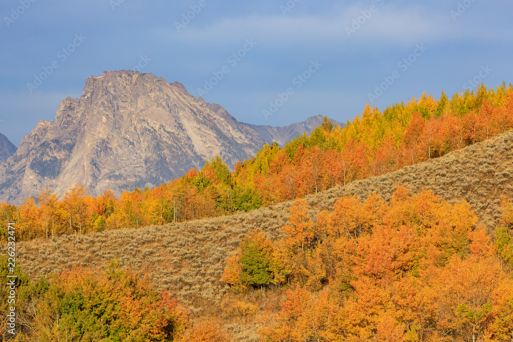 Scenic Landscape of the Tetons in Autumn Scenic Landscape of the Tetons in Autumn