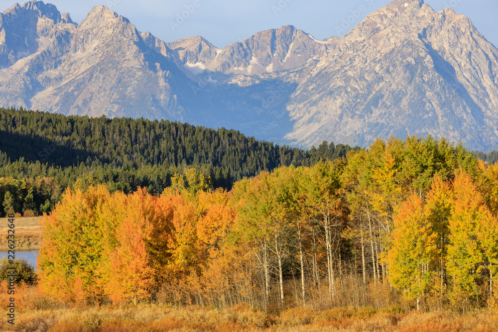 Scenic Landscape of the Tetons in Autumn