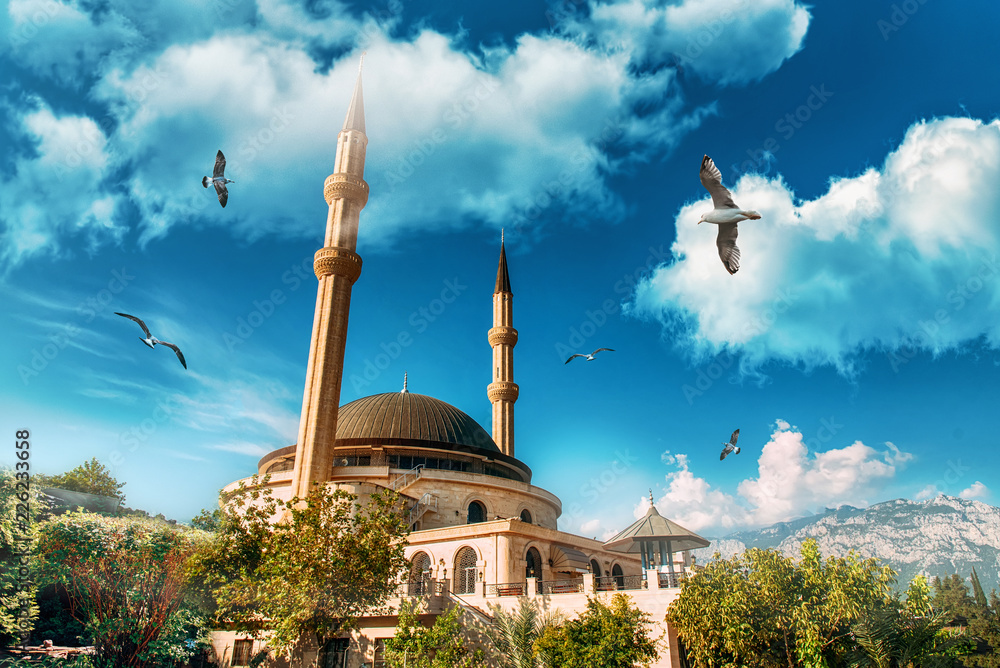Obraz premium Beautiful mosque under the blue sky with seagulls.