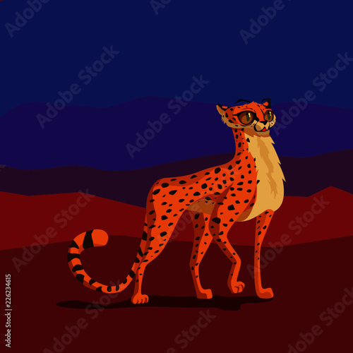 cheetah in the desert
