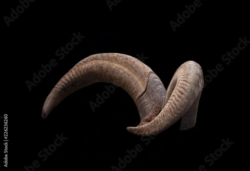 pair of brown goat horns