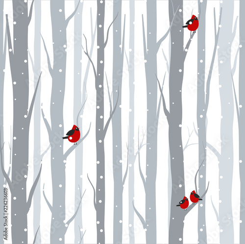 Vector illustration of seamless pattern with grey trees birches and red birds in winter time with snow in flat cartoon style.