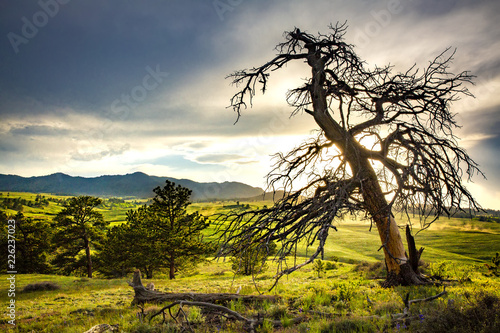 Sunset in Medicine Bow-Routt National Forest photo