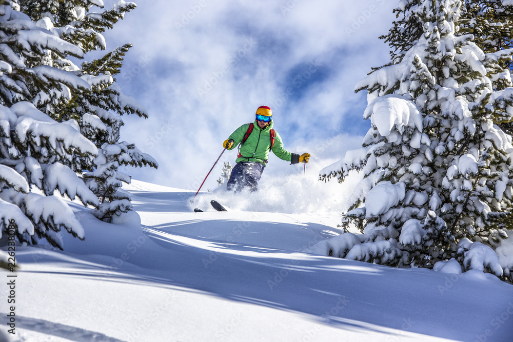 Offpiste skiing in deep powder snow - obrazy, fototapety, plakaty 