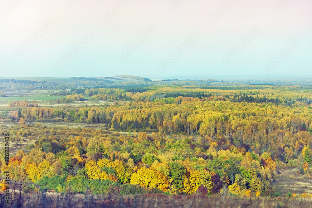 picturesque colorful autumn forest landscape