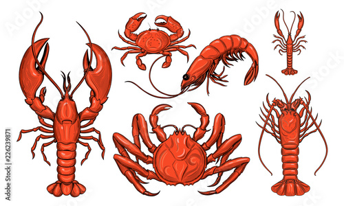 Crab, shrimp, lobster, langoustine, spiny lobster. Seafood. 