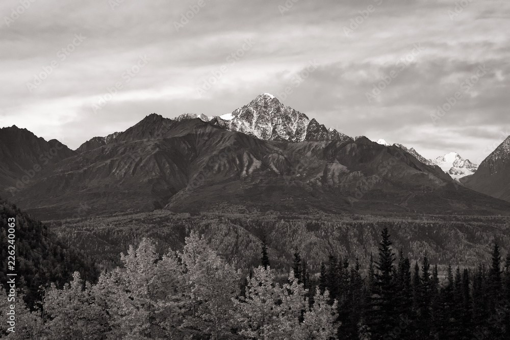 Fototapeta premium Snow lined mountain peak from Denali Highway in black and white